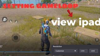 how to setting gameloop view ipad - PUBGM