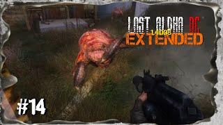 Гиблое озеро Янтарь► S.T.A.L.K.E.R. Lost Alpha DC 1.4008 EXTENDED #14