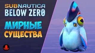 ВСЕ МИРНЫЕ СУЩЕСТВА Subnautica Below Zero