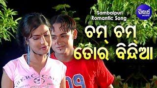 Cham Cham Tora Bindia - Sambalpuri Romantic Song ଚମ ଚମ ତୋର ବିନ୍ଦିଆ | Sidharth Sambalpuri