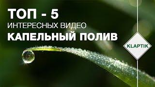 Топ-5 Лучший капельный полив