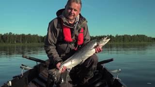 Naamisuvanto Salmon Fishing in Tornio Torne River in Lapland Finland & Sweden: rod and fly fishing