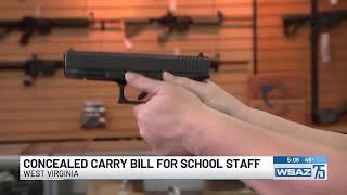 Bill to allow concealed carry for school staff heads to House floor