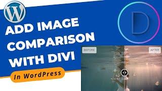 How to Add Image Comparison in Blog With Divi Builder in WordPress | Divi Page Builder Tutorial 2022