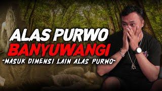 KISAH MISTIS ALAS PURWO BANYUWANGI !! HUTAN TUA TERSERAM DIPULAU JAWA !!