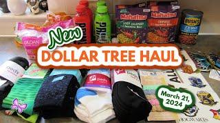 New DOLLAR TREE HAUL!  New Finds!  March 21, 2024