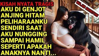 KISAH NYATA JANDA INI DI GENJOT ANJING SAAT NUNGGING SAMPAI HAMIL