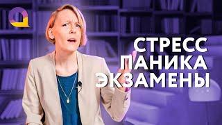 Как справиться со стрессом перед экзаменом и не впадать в панику?