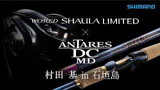 WORLD SHAULA LIMITED  × ANTARES DC MD 超越顛峰的真正巔峰 / 村田基