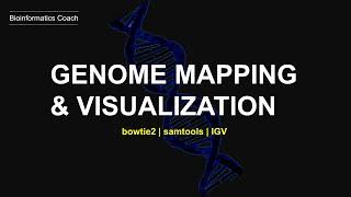 Genome Mapping and Visualization with Bowtie2 & IGV