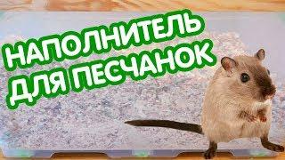 Наполнитель для песчанок. Какой лучше?