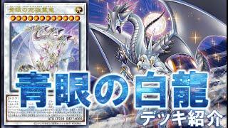 【OCG】『青眼の白龍』デッキ紹介 #遊戯王 #OCG #最新情報