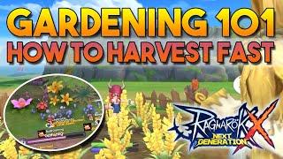 HOW TO HARVEST FAST, GARDENING TIPS 101 - RAGNAROK X: NEXT GENERATION