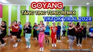 GOYANG TANG TING TUNG REMIX TIKTOK VIRAL || SENAM KREASI @sanggarsenamatya8917