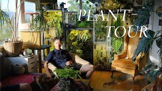 Inside JiaHao’s Plant-filled Home | houseplant collection