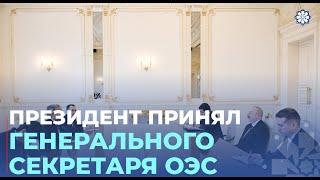 Президент Ильхам Алиев принял генерального секретаря Организации экономического сотрудничества