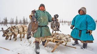 How Indigenous Peoples hunt.Guns and traps.Secrets of hunting reindeer, goose, duck, arctic fox