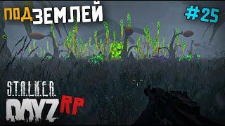 ПУТЬ ПОД ЗЕМЛЮ. DAYZ STALKER RP 25 серия