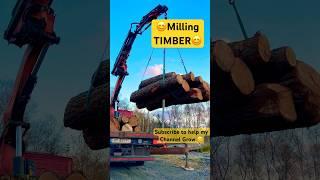 Massive amount of wood offloaded with Crane #shorts #milling #chainsaw