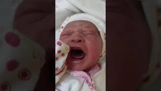 #drmuratkayaoglu #jinekolog #zaman_zaidi #cuteanimal #newbornphotography Hello,Your request