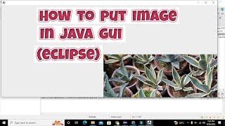 how to show image on gui of java in eclipse | put picture on the gui of java in eclipse