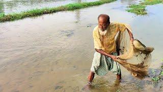 Village Cast Net Fishing Video - Very Amazing Fishing Video - Best Net Fishing