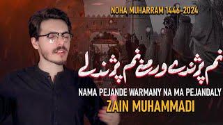 Pashto Noha 2024 Na Ma Pejande Warmany Na Ma Pejandaly |Zakir Zain Muhammadi