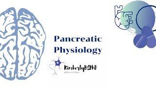 Pancreas endocrine function