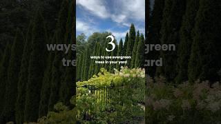 3 ways evergreen trees can ELEVATE your LANDSCAPE!  #landscaping #garden #fastgrowingtrees