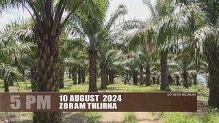 DD News Mizoram - Zoram Thlirna | 10 August 2024 | 5 PM