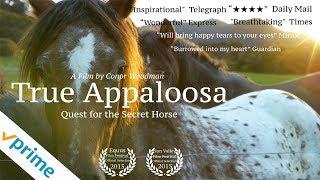 True Appaloosa | Trailer | Available now