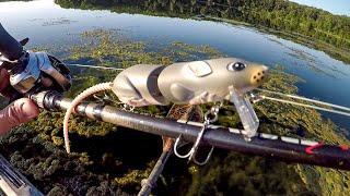 Fishing A Rat Lure For Sunset Bass!