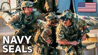 U.S. Navy SEALs in Action | Embassy Evacuation & Close Air Support Abilities Drills