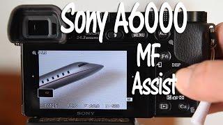 Sony A6000 and A6300 Manual Focus Assist Tutorial