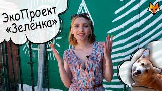 Мы в ответственности за то, что натворили | ЭкоПроект "Зелёнка"