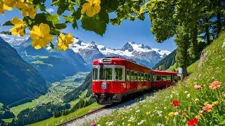 World’s Most Scenic Train Journey in Switzerland _ Schynige Platte , Top of Swiss Tradition