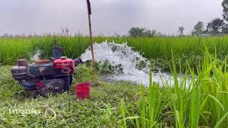 Deep Shallow Machine Water irrigation on paddy land Stock Footage