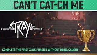 Stray - Can't Cat-ch Me  Trophy Guide (Chapter 2 Zurk Pursuit)