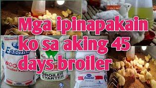 Anong brand ng Pagkain para sa aking alagang 45 days na broiler #45dayschicken #backyardfarming