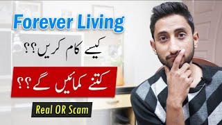 Forever Living Products Complete Explained Fake Or Real
