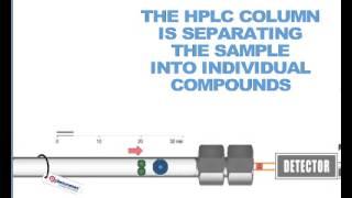 How HPLC Columns Work