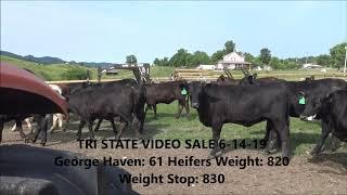 TRI STATE MARKET VIDEO SALE: George Havens