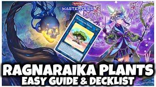 RAGNARAIKA PLANTS | EASY GUIDE & DECKLIST!