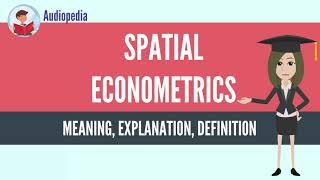 What Is SPATIAL ECONOMETRICS? SPATIAL ECONOMETRICS Definition & Meaning