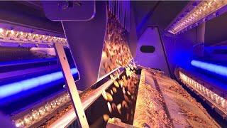 VERYX C140 BioPrint Sorting Almonds