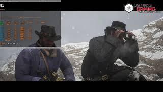 Radeon RX 5500 XT 8GB Red Dead Redemption 2 1080p Custom Settings FPS + Gameplay