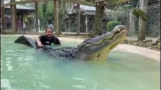 Craziest Alligator Bellow Ever