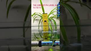 #guppy #fish #water #testing #kit #hobby #aquarium #trending #mustwatch #youtubeshorts #views