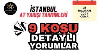 9 KOŞU DETAYLI ANALİZLER. İstanbul At Yarışı Tahminleri