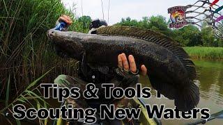 Scouting New Waters: Tips, Tools, NEW Jaw Cranks, and a MASSIVE Snakehead